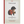 The Iliad by Homer - PDF Series